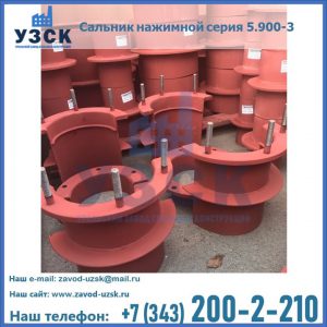 Сальники нажимные серия 5.900-3 в Сызрани